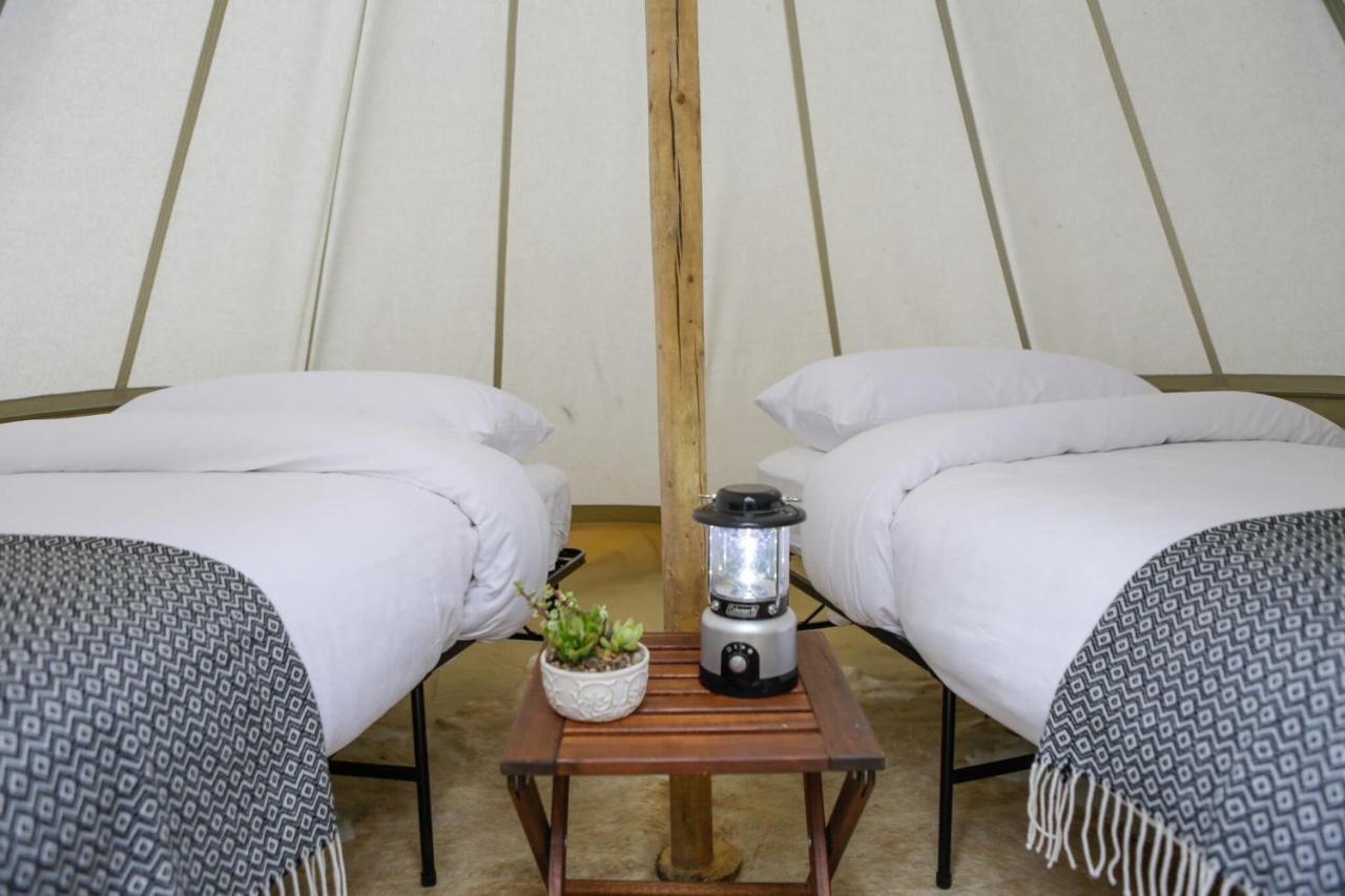Under Canvas Glacier Coram Bagian luar foto